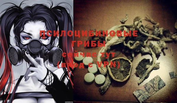 марки lsd Белокуриха