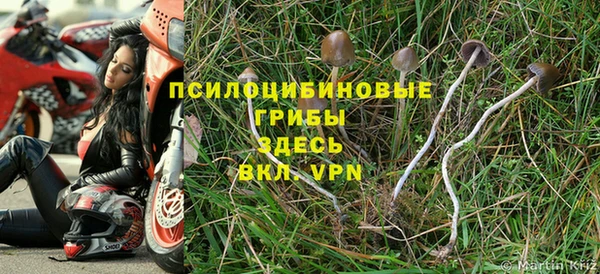 марки lsd Белокуриха
