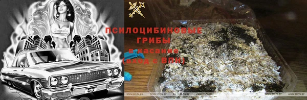 Альфа ПВП Беломорск