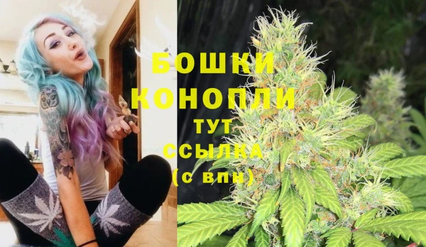 марки lsd Белокуриха